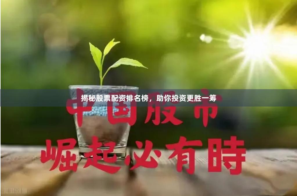 揭秘股票配资排名榜，助你投资更胜一筹